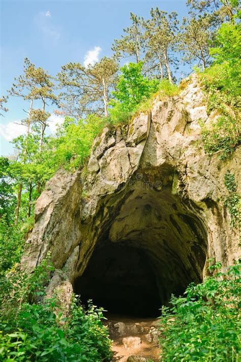 Dark Entrance To Natural Cave In The Forrest Stock Photo Image Of