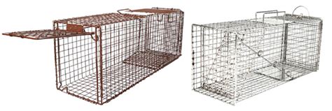 A live trap for racoon, opossums, rabbits, armadillos, groundhogs and feral cat sized animals. National Feral Cat Day: Traps on Sale! — Vox Felina