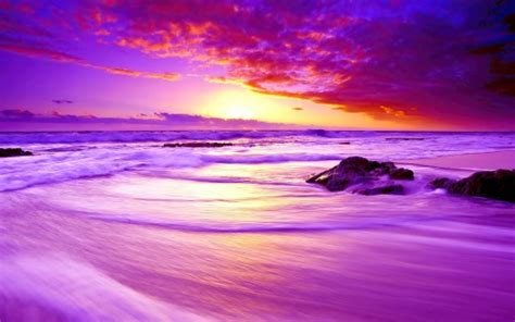 Purple Beach Sunset 4k Hd Wallpapers Hd Wallpapers Id