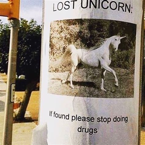Lost Unicorn Joke Funny Memes Unicorn Memes Unicorn Jokes