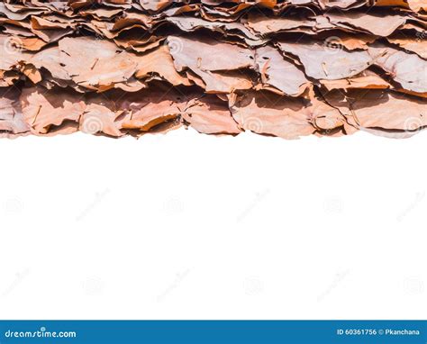 Roof Made Of Dried Leaves Stock Photo Image Of Texture 60361756