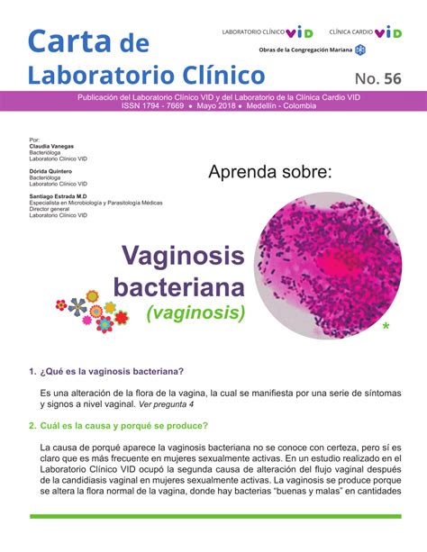 Vaginosis Bacteriana Que Es