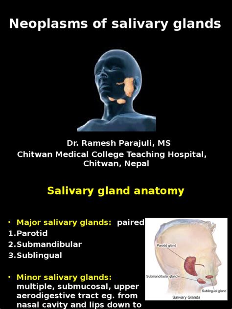 Tumors Of Salivary Gland Adenoma Anatomy