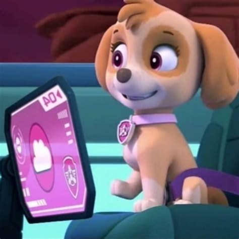 🐶Скай🐶 Paw Patrol Pups Skye Paw Patrol Paw Patrol Coloring Pages Nickelodeon Cheetahs Papi