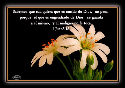 De Flores Con Versiculos Biblicos Imagenes Cristianas De Rosas