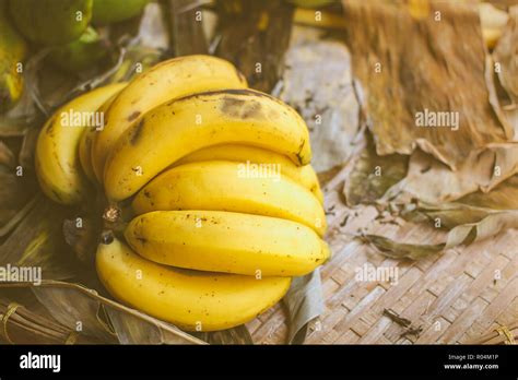Raw Organic Bunch Of Bananas Cavendish Banana Stock Photo Alamy