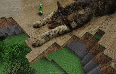 Creeper Vs Kitty Minecraft Backgrounds Minecraft Tired Cat