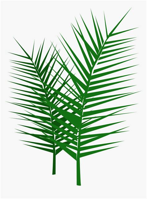 Palm Sunday Palm Branch Hd Png Download Kindpng