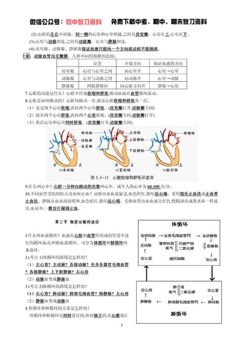 【济南版】初中七年级下册生物知识点总汇 知乎