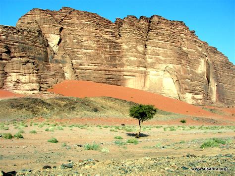 .مررنا منه في حسمي بعبدٍ‬ ‫يقول مررنا في هذا المكان من وردان بعبد أنفاسه لؤم. جبال حِسمى(رحلة مدين-3) | | فريق الصحراء