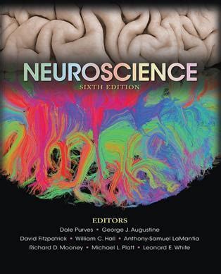 Neuroscience Purves Th Edition Pdf Free Download Collegelearners Com