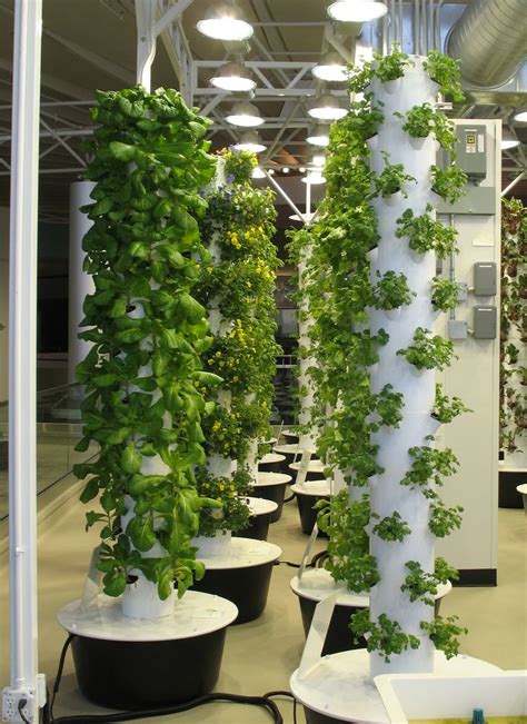 17 Best Images About Aeroponic Gardening On Pinterest Gardens Strawberry Tower And Greenhouses