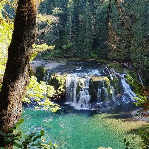 Washington Has A Jungle Oasis With A 200 Ft Wide Waterfall That You Can
