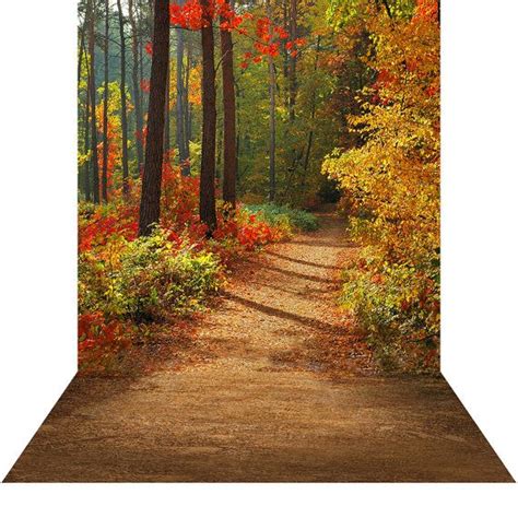 Autumn Fall Woods Outdoor Backdrop Path Trail Forest Etsy Outdoor
