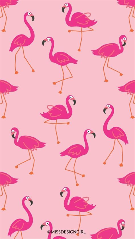 Flamingo Wallpapers Wallpaper Cave