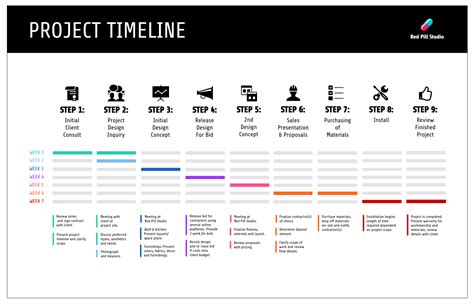 Project Plan Timeline Infographic