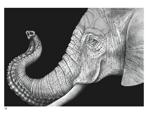 Intricate Ink Animals In Detail Coloring Book
