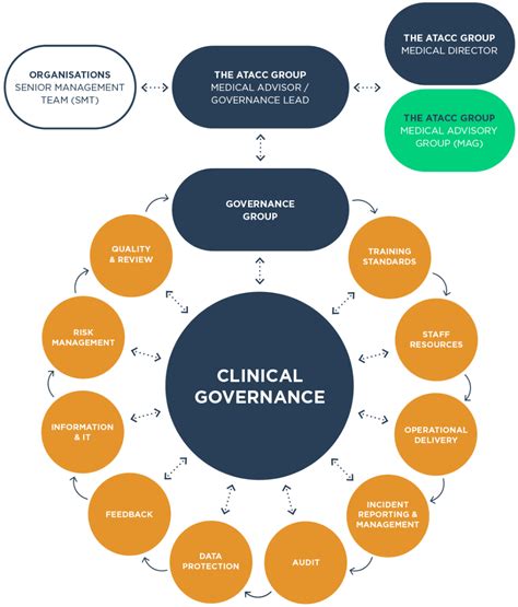 The Various Elements Of Clinical Governance