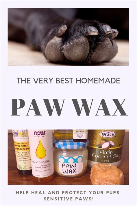 Make your own diy paw wax for pets. The Very Best Homemade Paw Wax for Dogs | Paw wax, Wax, Paw