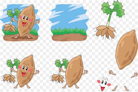 Maybe you would like to learn more about one of these? Gambar Daun Ubi Jalar Kartun - Gambar Bagian Tumbuhan