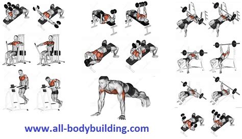 7 Exercises To Develop A Mighty Chest Fast Bodydulding