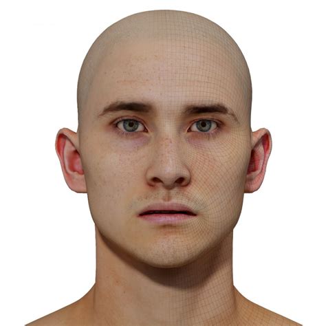 Male 3d Model Retopologised Head Scan Ab09