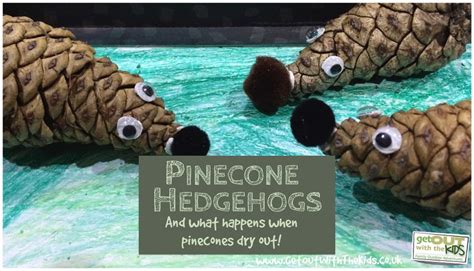 Pinecone Hedgehogs Pine Cones Pine Cone Crafts Hedgehog Craft