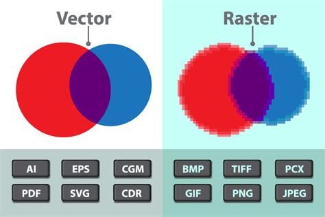 Digital Imaging Sp20 Raster Vs Vector Graphics Explained