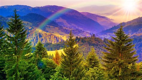 Download Fall Tree Landscape Mountain Nature Rainbow Hd Wallpaper