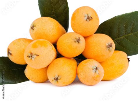 Group Of Loquat Fruits Isolated On White Background Stock Photo And
