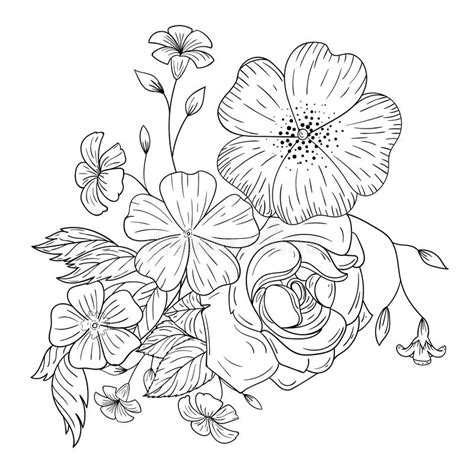 L'alstroemeria è un fiore che rappresenta l'amicizia. Un Mazzo Dei Fiori Per I Libri Da Colorare Illustrazione ...