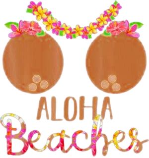 Amazon Com Aloha Beaches Hawaii Funny Coconut Bra Flower Boobs Beach