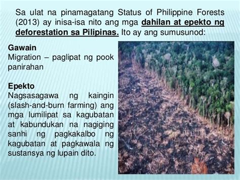 Dahilan At Epekto Ng Deforestation Mga Paksa