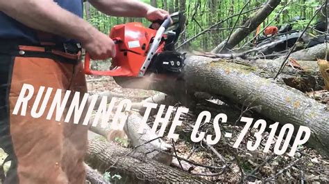 Cutting Some Firewood With The New Echo Cs 7310p Chainsaw Youtube