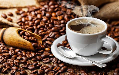 Hot coffee has more antioxidants than cold brew • Earth.com