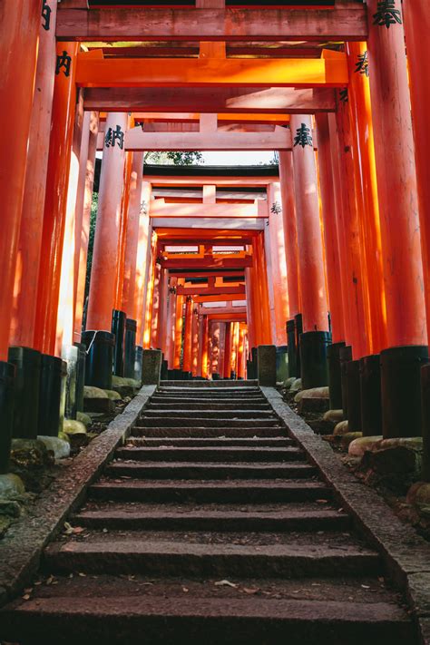 Kyoto and osaka are generally the two most popular choices in the area, and we're here to help read more about osaka and kyoto in this detailed guide, and you will easily figure out which city is a. Japan: Osaka, Kyoto, Kobe and Hiroshima - Jelly Journeys