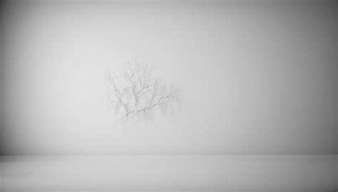 Exploring the Timeless Appeal of White Canvas Art | RetireOn