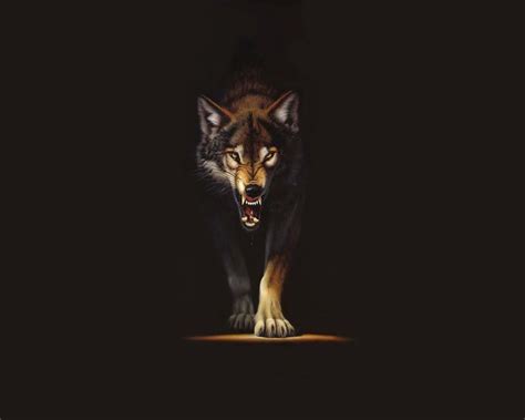 Wolf Wallpapers Wallpaper Cave