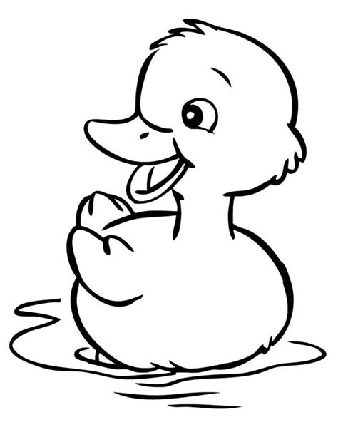 Pin By Daiana Ordine On Duck Coloring Pages Animal Coloring Pages