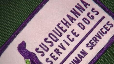 Susquehanna Service Dogs assist Dauphin County's 911 dispatchers