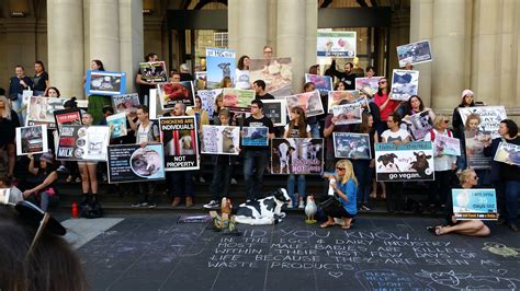Massive protests erupted across europe and australia on saturday against mandatory covid melbourne anti lockdown anti govt bs excuse the crude narration in the background, it's. Protest against industrial animal cruelty on Bourke St ...