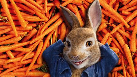 Peter Rabbit Movie Wallpapers High Quality Download Free