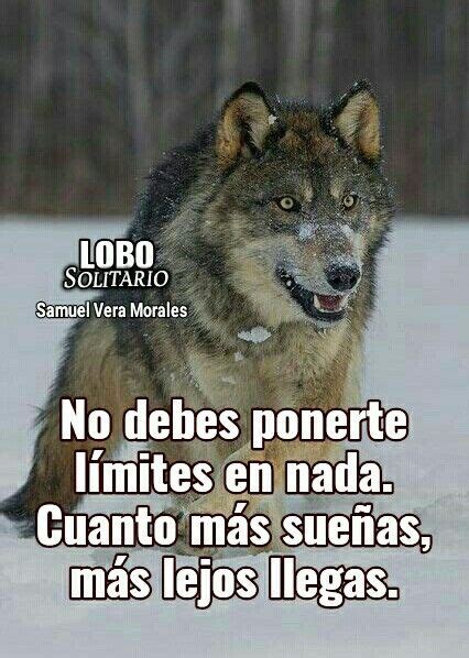 Introducir 61 Imagen Frases Sobre Lobos Solitarios Abzlocalmx