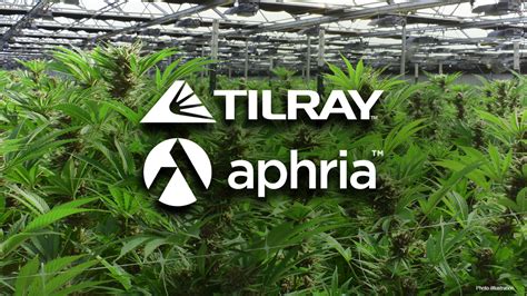 Important Info On The Aphria And Tilray Cannabis Merger The Cannabis