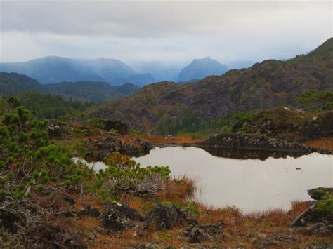 Pictured is the bear abode in whale pass on the north end of prince of wales island. Prince of Wales Island, Alaska // #trophycountry via ...