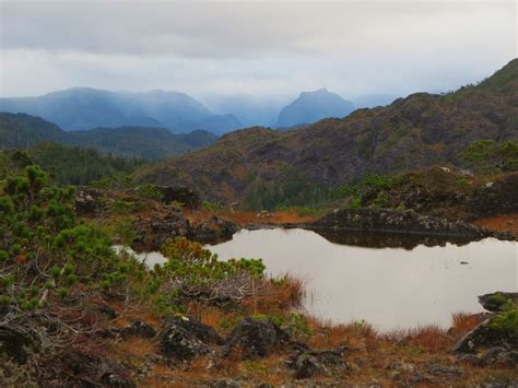 A place to stay in tiny craig alaska on prince of wales island in southeast alaska. Prince of Wales Island, Alaska // #trophycountry via MeatEater TV | Trip, Sitka, Country