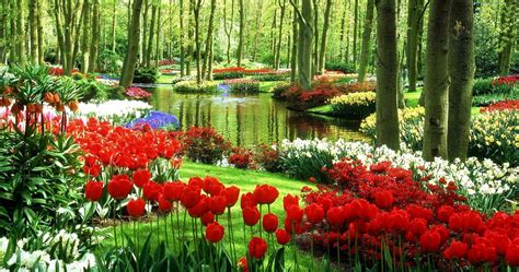 Keukenhof Garden In Lisse The Netherlands The Garden Of Europe Is