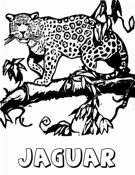 Dibujo De Jaguar Para Colorear Y Pintar 5208
