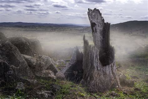 The Black Stump By Wylie · 365 Project