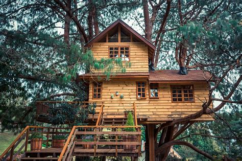 Top Most Amazing Treehouse Rentals Worth The Drive From Los Angeles